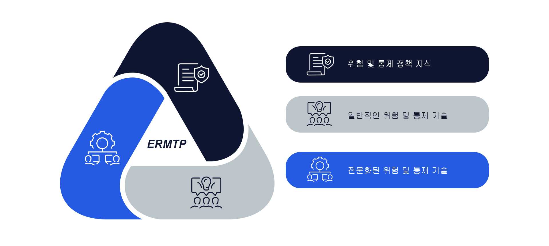 Enterprise Risk Management Training Program 위험 및 통제 정책 지식 일반적인 위험 및 통제 기술 전문화된 위험 및 통제 기술