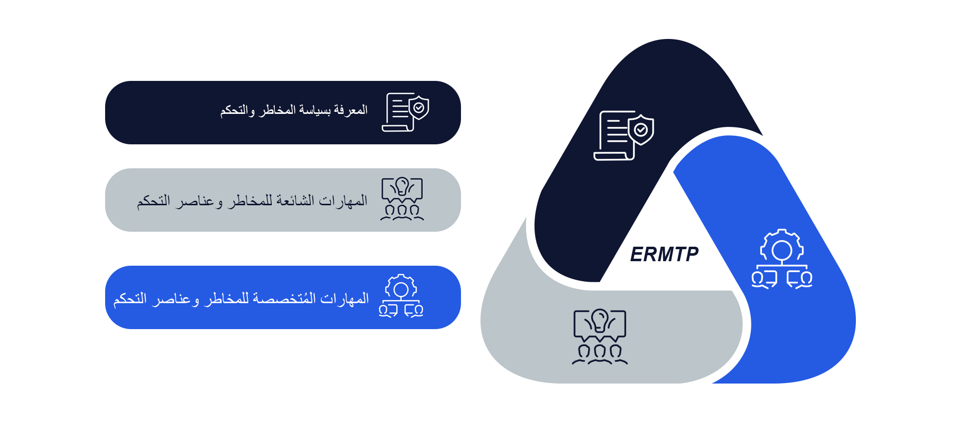 Enterprise Risk Management Training Program المعرفة بـRisk and controls policy المهارات الشائعة للمخاطر وعناصر التحكم المهارات المُتخصِّصة للمخاطر وعناصر التحكم