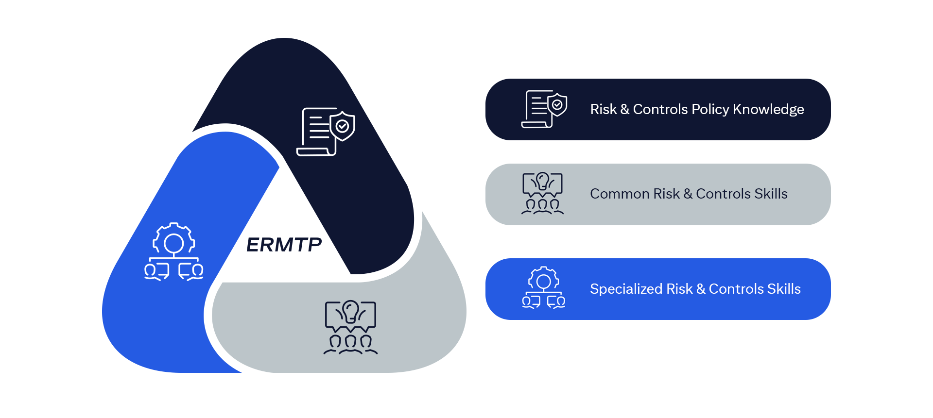 Enterprise Risk Management Training Program Risk And Controls Policy Knowledge Common Risk and Controls Skills Specialized Risk and Control Skills